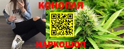 стаф Кулебаки