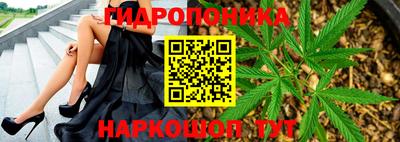 стаф Кулебаки