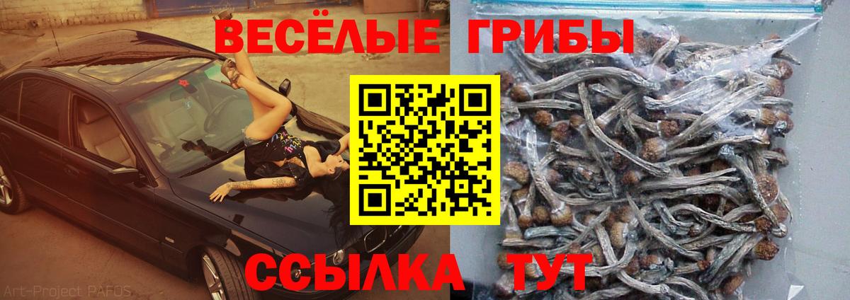 Галлюциногенные грибы ЛСД Зерноград