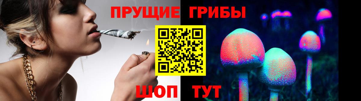 Зерноград  Псилоцибиновые грибы Psilocybe  Вход с VPN 