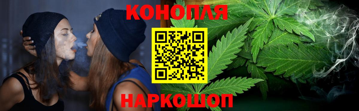 Зерноград  Марихуана планчик  Бошки Шишки Bruce Banner  Бошки Шишки семена  Каннабис ГИДРОПОН  Вход с VPN 